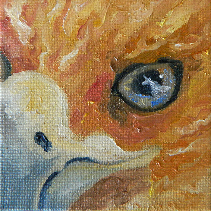 Phoenix and the Unicorn by Amanda Makepeace