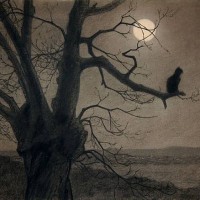 Cat in the Moonlight by Theophile Steinlen