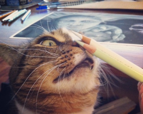 Hunter inspected my Prismacolor Pencils