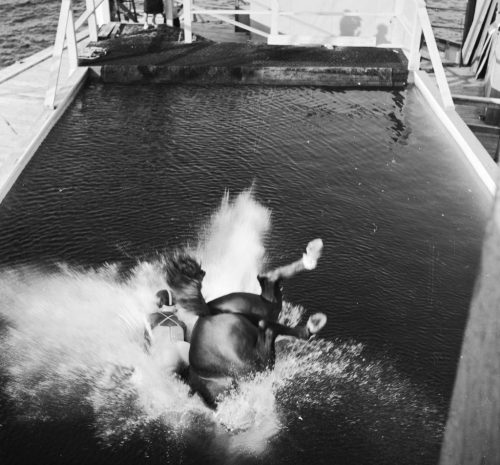 circa 1955: A diving horse and her rider disappearing in to a swimming pool with a splash. (Photo by Three Lions/Getty Images)